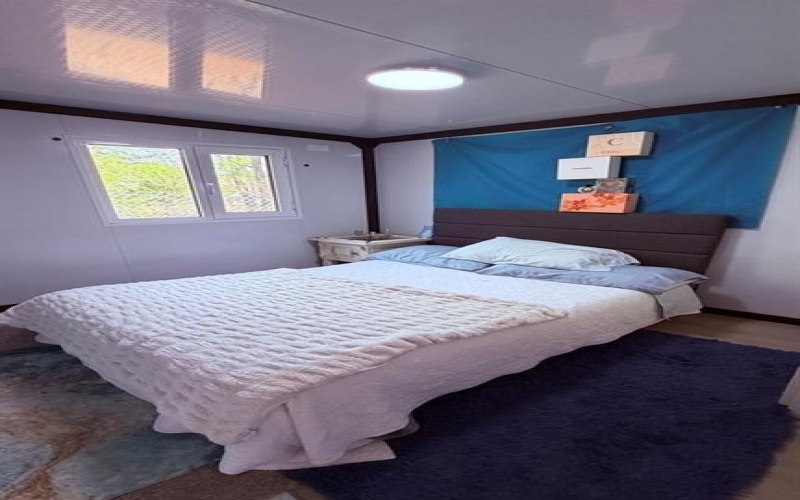 149 S. Oak Tree, Kemp, TX 75143, 2 Bedrooms Bedrooms, ,1 BathroomBathrooms,Residential,For Sale,149 S. Oak Tree,0,21181138