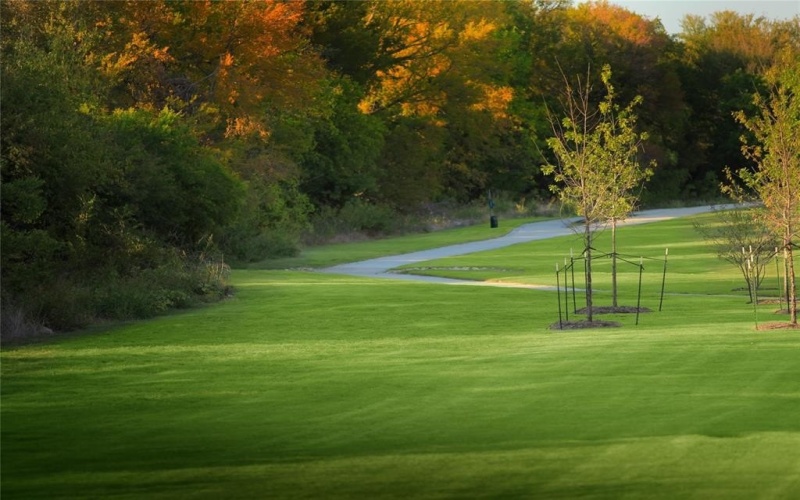 1215 Cartona Road, Fate, TX 75087, 4 Habitaciones Habitaciones , ,3 BañosBaños,Residential,En Venta,1215 Cartona Road,0,21180017