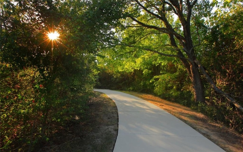 1410 Potenza Road, Fate, TX 75087, 4 Bedrooms Bedrooms, ,3 BathroomsBathrooms,Residential,For Sale,1410 Potenza Road,0,21184609