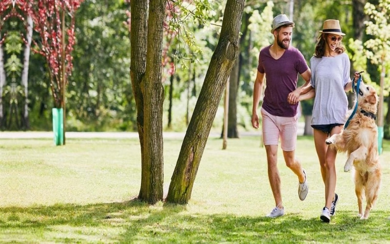 2818 Cedar Ridge, Sherman, TX 75092, 4 Bedrooms Bedrooms, ,3 BathroomsBathrooms,Residential,For Sale,2818 Cedar Ridge,0,21184834