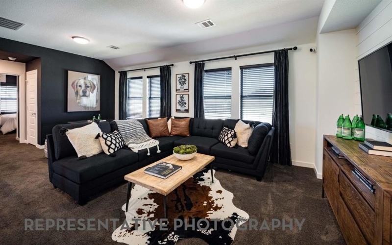 7562 Anastasia Street, Midlothian, TX 76084, 4 Habitaciones Habitaciones , ,3 BañosBaños,Residential,En Venta,7562 Anastasia Street,0,21185087