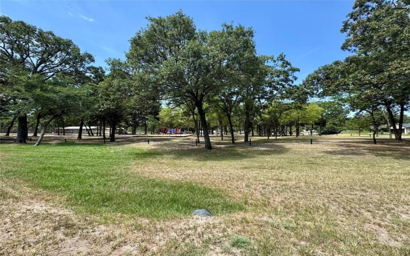 7137 Cayuga Drive, Mabank, TX 75156, 3 Bedrooms Bedrooms, ,2 BathroomsBathrooms,Residential,For Sale,7137 Cayuga Drive,0,21187026