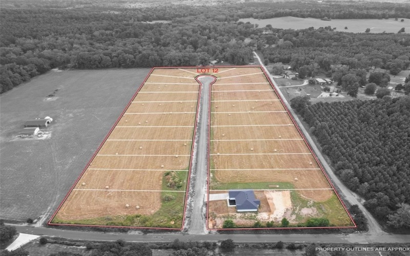 808 PR 3168, Gilmer, TX 75645, 3 Bedrooms Bedrooms, ,2 BathroomsBathrooms,Residential,For Sale,808 PR 3168,0,21187059