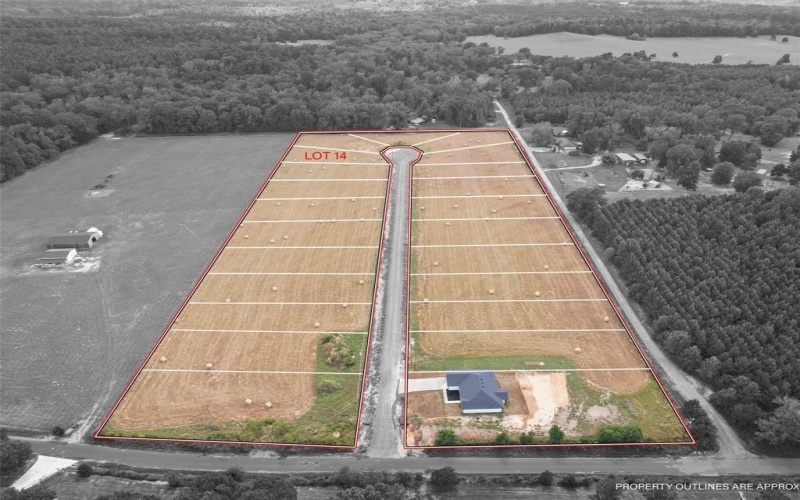 808 PR 3168, Gilmer, TX 75645, 3 Bedrooms Bedrooms, ,2 BathroomsBathrooms,Residential,For Sale,808 PR 3168,0,21187059