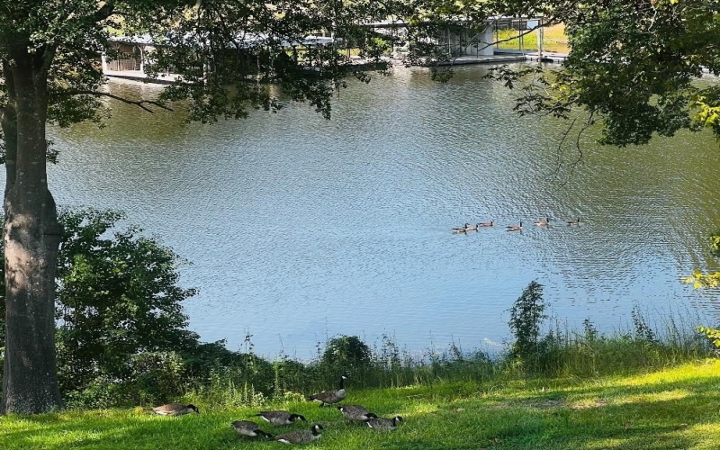 422 Beechwood Loop, Hemphill, TX 75948, 3 Bedrooms Bedrooms, ,2 BathroomsBathrooms,Residential,For Sale,422 Beechwood Loop,0,65105619