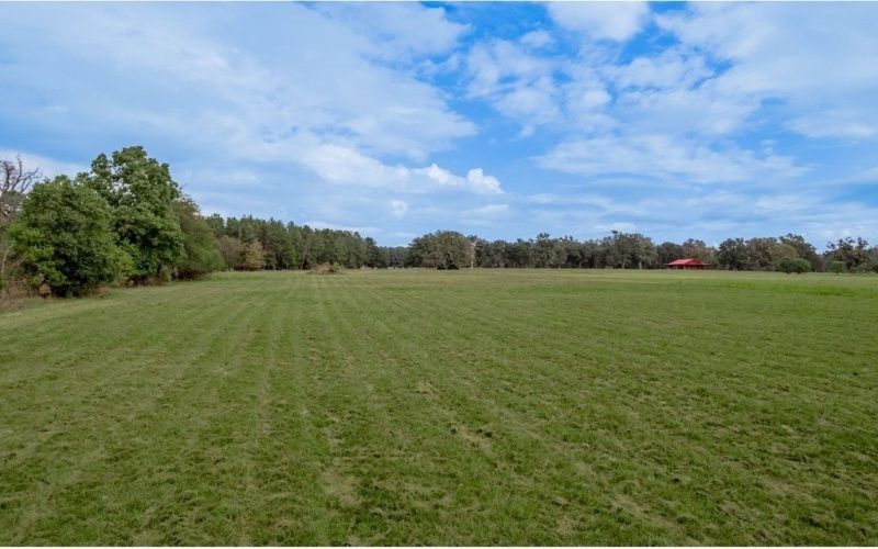 1033 Lonesome Dove Trail, Groveton, TX 75845, 3 Bedrooms Bedrooms, ,2 BathroomsBathrooms,Residential,For Sale,1033 Lonesome Dove Trail,0,65106863