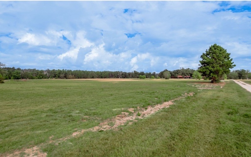 1033 Lonesome Dove Trail, Groveton, TX 75845, 3 Bedrooms Bedrooms, ,2 BathroomsBathrooms,Residential,For Sale,1033 Lonesome Dove Trail,0,65106863