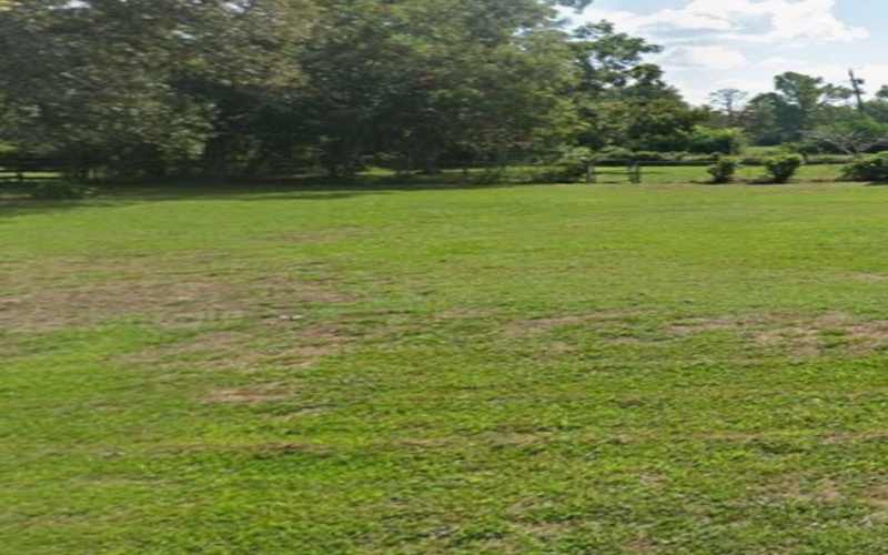 3838 Fuller Springs Drive, Lufkin, TX 75901, 3 Habitaciones Habitaciones , ,2 BañosBaños,Residential,En Venta,3838 Fuller Springs Drive,0,65107563