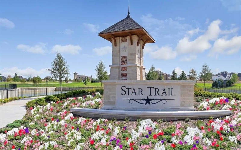 281 Wildwood Lane, Prosper, TX 75078, 5 Bedrooms Bedrooms, ,6 BathroomsBathrooms,Residential,For Sale,281 Wildwood Lane,0,21188126