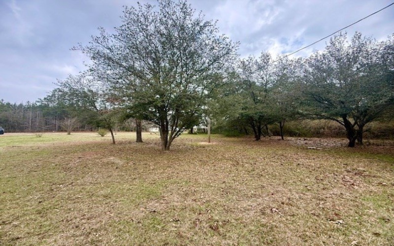 5205 Hwy 184, Hemphill, TX 75948, 2 Bedrooms Bedrooms, ,2 BathroomsBathrooms,Residential,For Sale,5205 Hwy 184,0,70010092