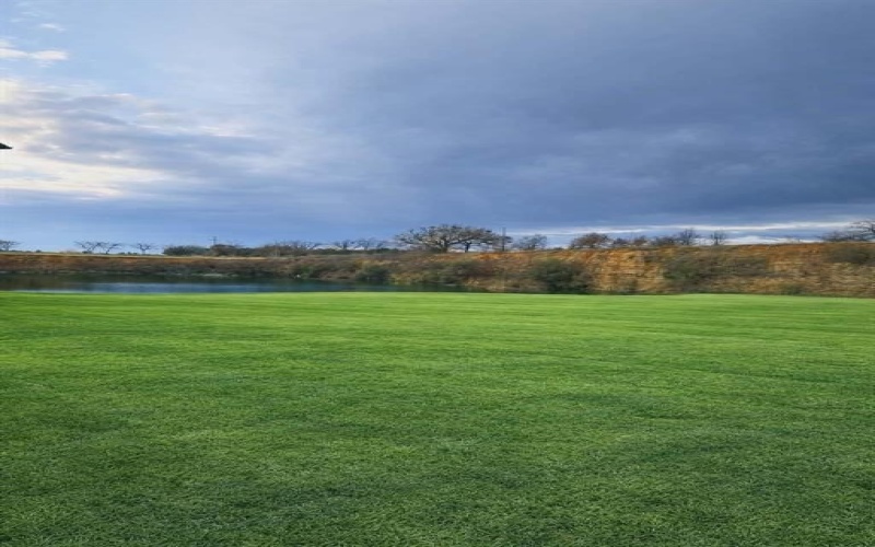 6605 Benson Court, Mansfield, TX 76063, 9 Habitaciones Habitaciones , ,9 BañosBaños,Residential,En Venta,6605 Benson Court,0,21189399