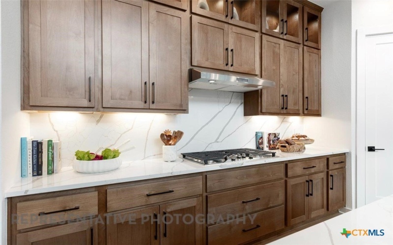 244 Basket Flower Loop, Kyle, TX 78640, 4 Bedrooms Bedrooms, ,3 BathroomsBathrooms,Residential,For Sale,244 Basket Flower Loop,0,599907