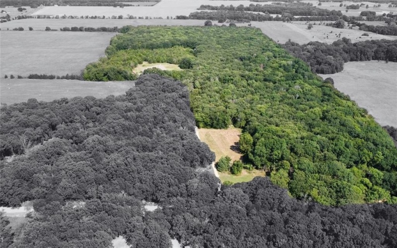 643 County Road 2255, Telephone, TX 75488, 3 Bedrooms Bedrooms, ,3 BathroomsBathrooms,Residential,For Sale,643 County Road 2255,0,21193594