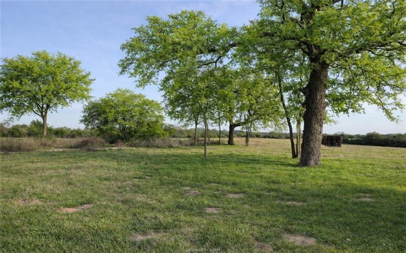 3917 Harbor Bolton Rd (+/- 2 acres), Franklin, TX 77856, 3 Habitaciones Habitaciones , ,2 BañosBaños,Residential,En Venta,3917 Harbor Bolton Rd (+/- 2 acres),0,26002576