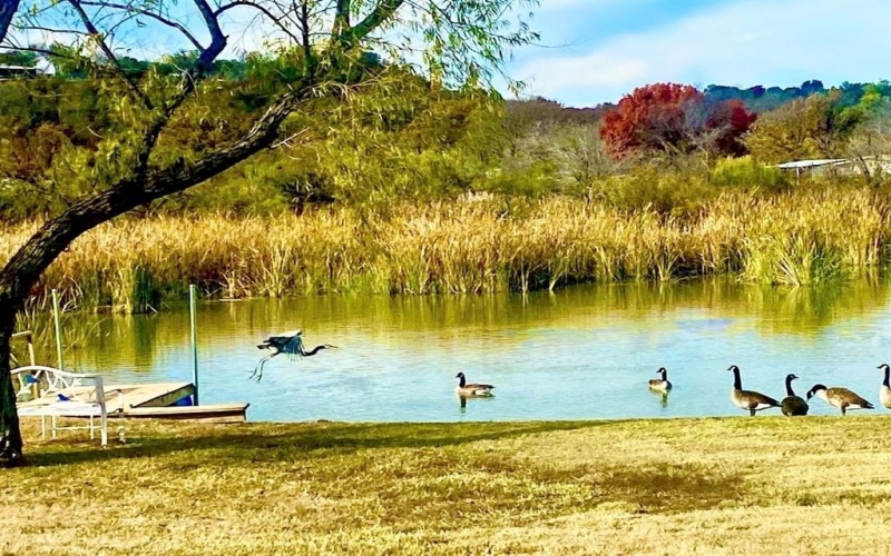 2013 Bedford Ct, Weatherford, TX 76087, 9 Habitaciones Habitaciones , ,3 BañosBaños,Residential,En Venta,2013 Bedford Ct,0,21194119