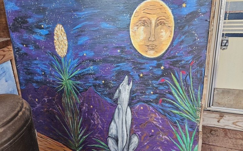 2727 Terlingua Ranch Rd, Terlingua, TX 79852, 3 Bedrooms Bedrooms, ,Residential,For Sale,2727 Terlingua Ranch Rd,0,167842