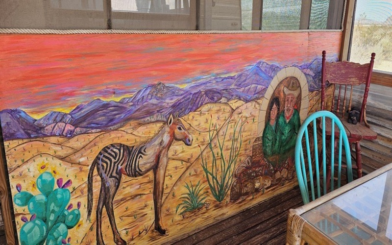 2727 Terlingua Ranch Rd, Terlingua, TX 79852, 3 Bedrooms Bedrooms, ,Residential,For Sale,2727 Terlingua Ranch Rd,0,167842