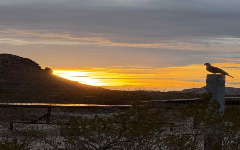 2727 Terlingua Ranch Rd, Terlingua, TX 79852, 3 Bedrooms Bedrooms, ,Residential,For Sale,2727 Terlingua Ranch Rd,0,167842