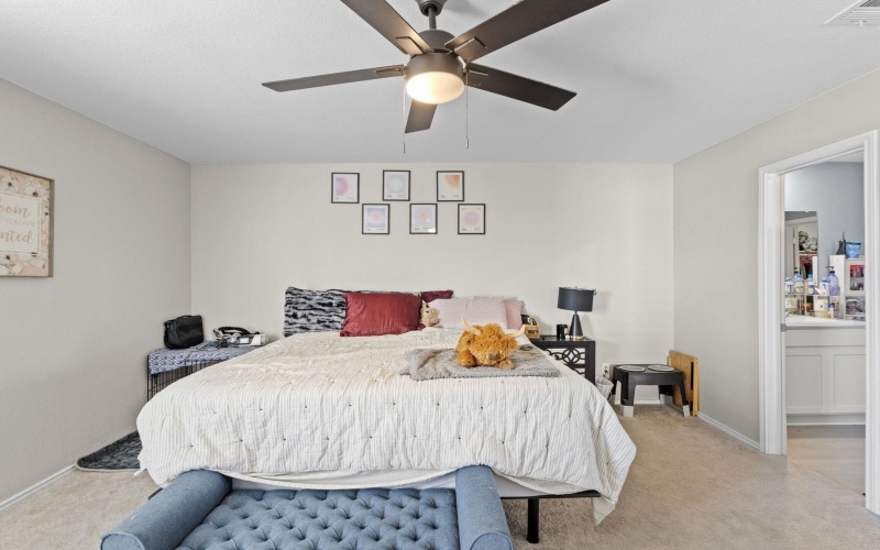 320 Bertram Oaks Drive, Bertram, TX 78605, 4 Bedrooms Bedrooms, ,2 BathroomsBathrooms,Residential,For Sale,320 Bertram Oaks Drive,0,176759