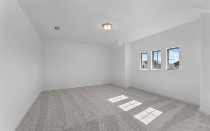 1800 Willowhurst Lane, Anna, TX 75409, 4 Bedrooms Bedrooms, ,5 BathroomsBathrooms,Residential,For Sale,1800 Willowhurst Lane,0,21198116