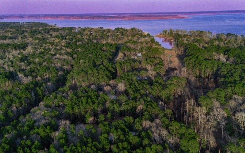 448 Cypress Knoll, Huntington, TX 75949, 3 Habitaciones Habitaciones , ,2 BañosBaños,Residential,En Venta,448 Cypress Knoll,0,70010190