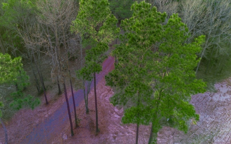 448 Cypress Knoll, Huntington, TX 75949, 3 Habitaciones Habitaciones , ,2 BañosBaños,Residential,En Venta,448 Cypress Knoll,0,70010190