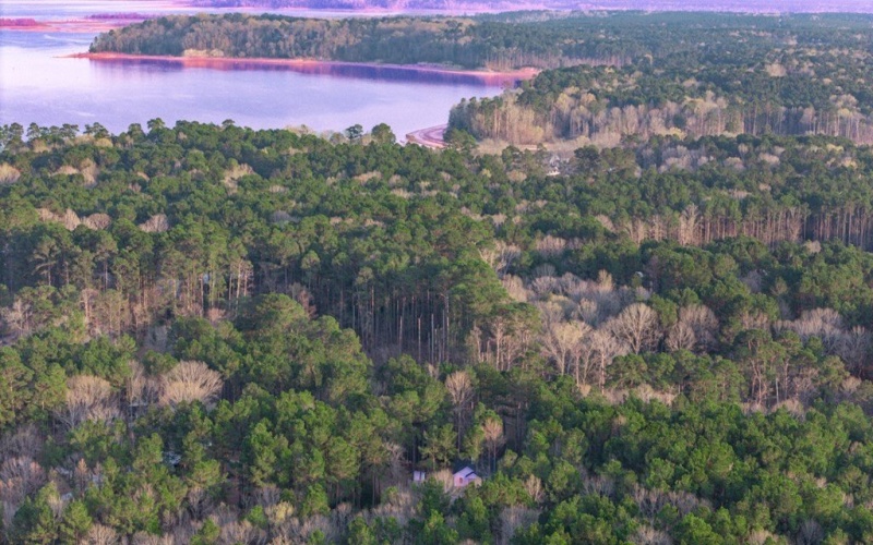 448 Cypress Knoll, Huntington, TX 75949, 3 Habitaciones Habitaciones , ,2 BañosBaños,Residential,En Venta,448 Cypress Knoll,0,70010190