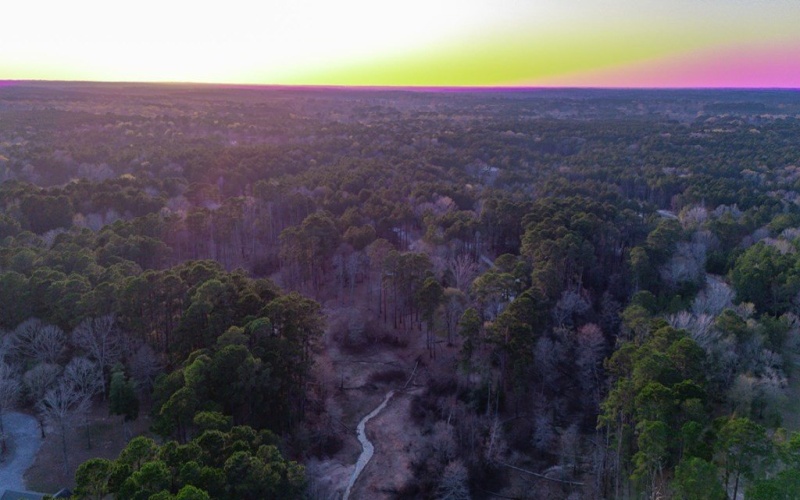 448 Cypress Knoll, Huntington, TX 75949, 3 Habitaciones Habitaciones , ,2 BañosBaños,Residential,En Venta,448 Cypress Knoll,0,70010190