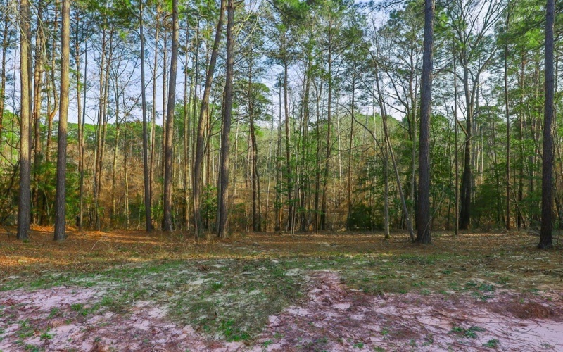 448 Cypress Knoll, Huntington, TX 75949, 3 Habitaciones Habitaciones , ,2 BañosBaños,Residential,En Venta,448 Cypress Knoll,0,70010190