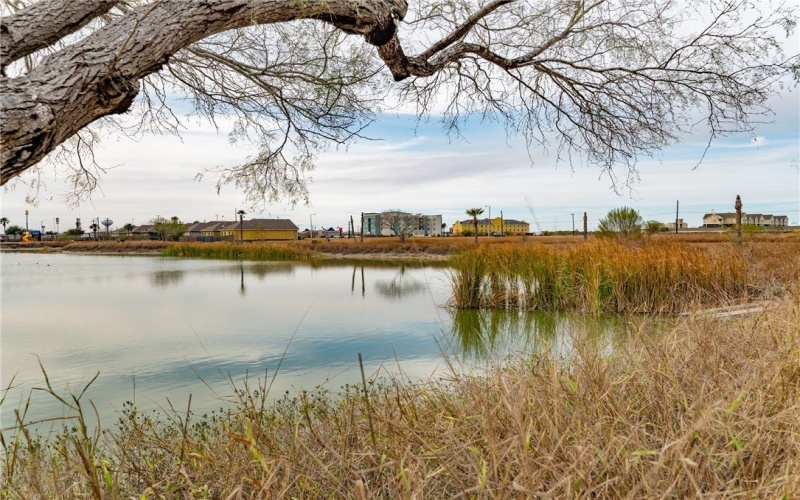 2080 Isabella Drive, Kingsville, TX 78363, 3 Bedrooms Bedrooms, ,2 BathroomsBathrooms,Residential,For Sale,2080 Isabella Drive,0,472769