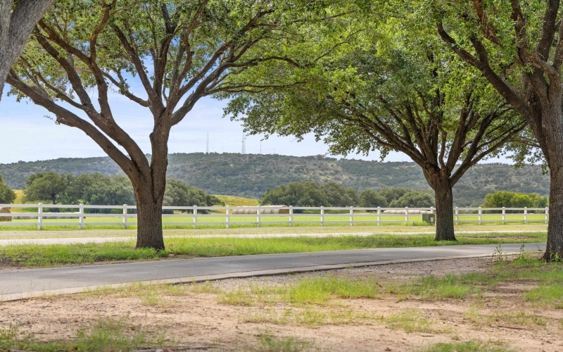 117 Hannah's Way, Burnet, TX 78611, 5 Bedrooms Bedrooms, ,5 BathroomsBathrooms,Residential,For Sale,117 Hannah's Way,0,176732