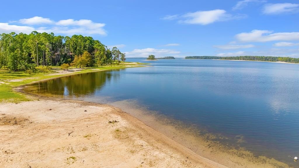 350 Lakeway Drive, Brookeland, TX 75931, 4 Habitaciones Habitaciones , ,3 BañosBaños,Residential,En Venta,350 Lakeway Drive,0,65106384