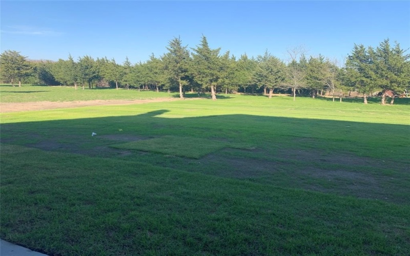 325 Soto Drive, Celeste, TX 75423, 4 Bedrooms Bedrooms, ,3 BathroomsBathrooms,Residential,For Sale,325 Soto Drive,0,21200776