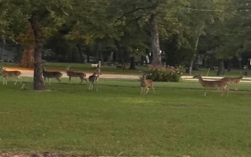 30 Rainbow Drive, Star Harbor, TX 75148, 4 Habitaciones Habitaciones , ,2 BañosBaños,Residential,En Venta,30 Rainbow Drive,0,21200222