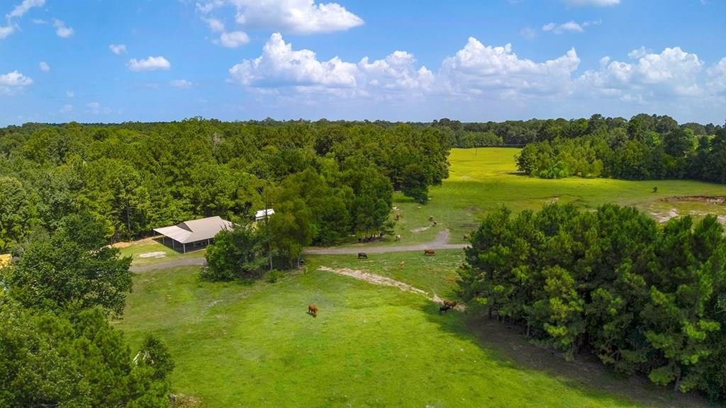 9429 FM 83, Pineland, TX 75968, 2 Bedrooms Bedrooms, ,1 BathroomBathrooms,Residential,For Sale,9429 FM 83,0,70012249