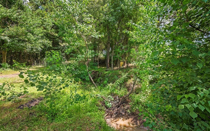 9429 FM 83, Pineland, TX 75968, 2 Bedrooms Bedrooms, ,1 BathroomBathrooms,Residential,For Sale,9429 FM 83,0,70012249