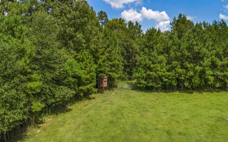 9429 FM 83, Pineland, TX 75968, 2 Bedrooms Bedrooms, ,1 BathroomBathrooms,Residential,For Sale,9429 FM 83,0,70012249