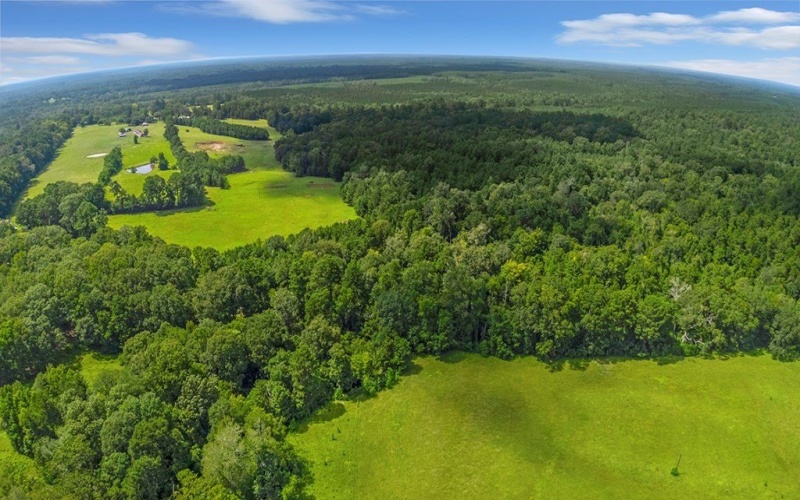 9429 FM 83, Pineland, TX 75968, 2 Bedrooms Bedrooms, ,1 BathroomBathrooms,Residential,For Sale,9429 FM 83,0,70012249