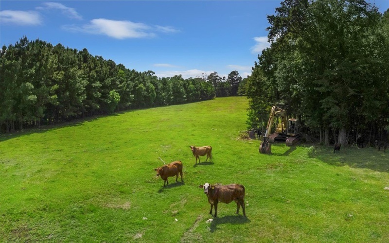 9429 FM 83, Pineland, TX 75968, 2 Bedrooms Bedrooms, ,1 BathroomBathrooms,Residential,For Sale,9429 FM 83,0,70012249