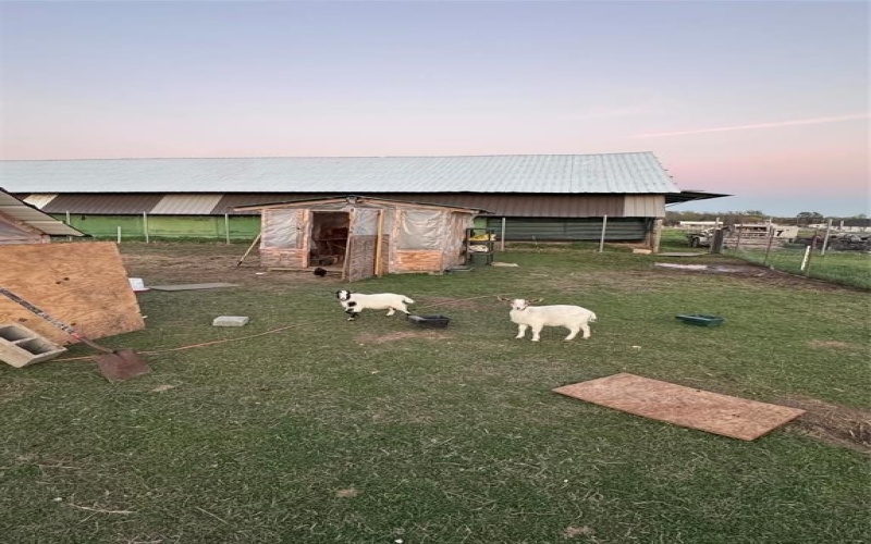 1524 Vz County Road 2128, Wills Point, TX 75169, 4 Habitaciones Habitaciones , ,2 BañosBaños,Residential,En Venta,1524 Vz County Road 2128,0,21182530