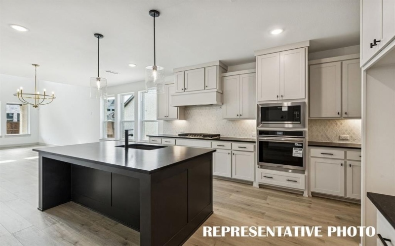 4180 Rosita Lane, Prosper, TX 75078, 5 Bedrooms Bedrooms, ,6 BathroomsBathrooms,Residential,For Sale,4180 Rosita Lane,0,21202133