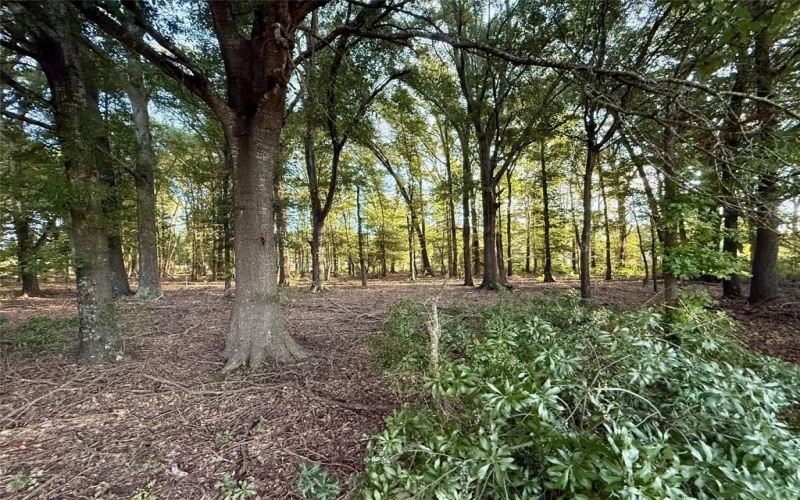 1211 VZ County Rd 4418, Canton, TX 75103, ,Commercial Sale,For Sale,1211 VZ County Rd 4418,0,21189729