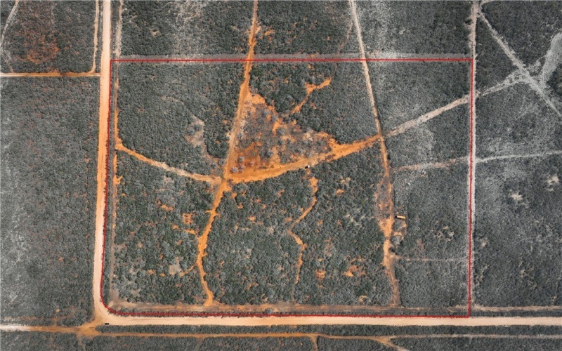 CR 145 & CR 173, Alice, TX 78332, ,Farm,For Sale,CR 145 & CR 173,0,473038