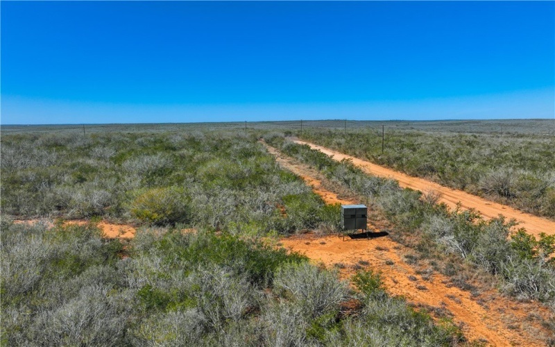 CR 145 & CR 173, Alice, TX 78332, ,Farm,For Sale,CR 145 & CR 173,0,473038