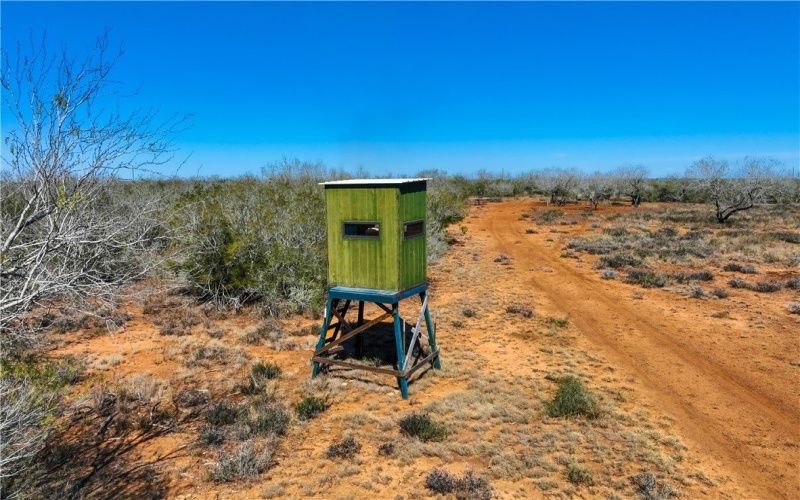 CR 145 & CR 173, Alice, TX 78332, ,Farm,For Sale,CR 145 & CR 173,0,473038