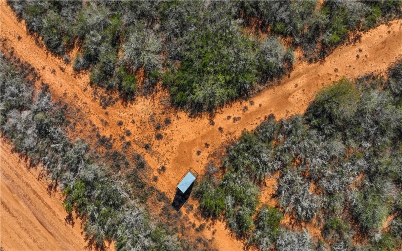 CR 145 & CR 173, Alice, TX 78332, ,Farm,For Sale,CR 145 & CR 173,0,473038