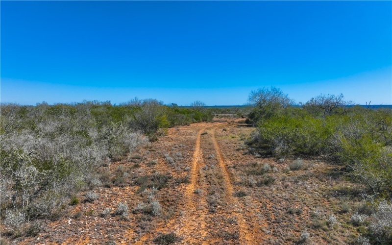 CR 145 & CR 173, Alice, TX 78332, ,Farm,For Sale,CR 145 & CR 173,0,473038