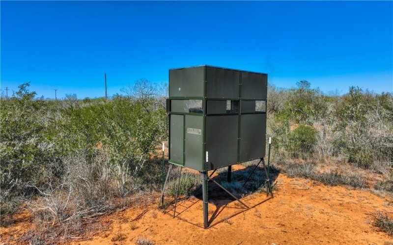 CR 145 & CR 173, Alice, TX 78332, ,Farm,For Sale,CR 145 & CR 173,0,473038