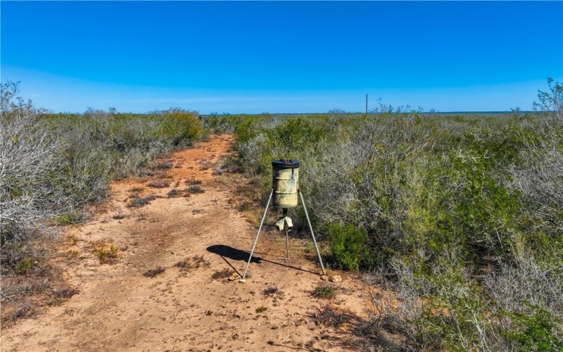 CR 145 & CR 173, Alice, TX 78332, ,Farm,For Sale,CR 145 & CR 173,0,473038