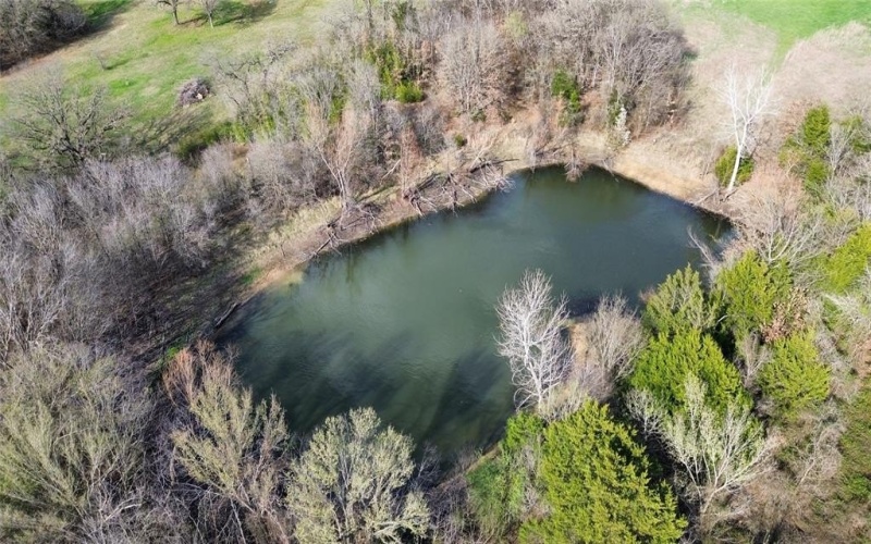 6008 County Road 401, Grandview, TX 76050, 4 Habitaciones Habitaciones , ,3 BañosBaños,Residential,En Venta,6008 County Road 401,0,21204234